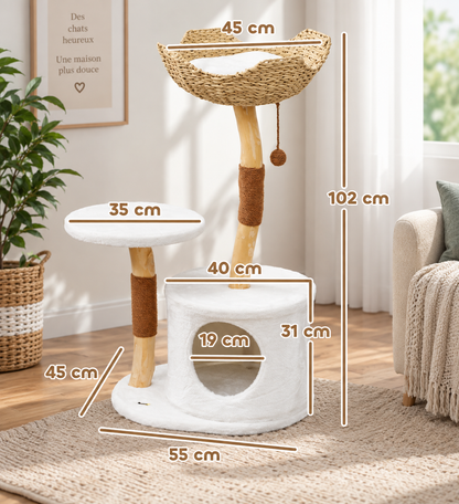 Arbre à Chat Noma M – Bois Naturel, Niche & Couchage