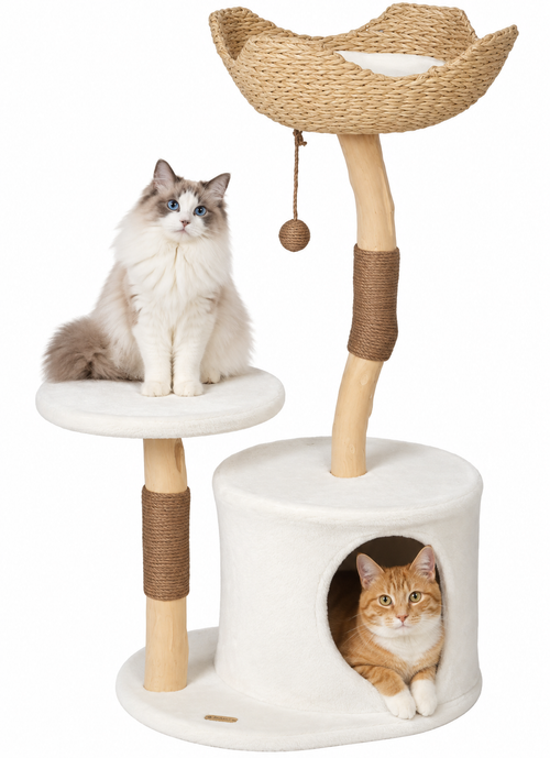 Arbre à Chat Noma M – Bois Naturel, Niche & Couchage