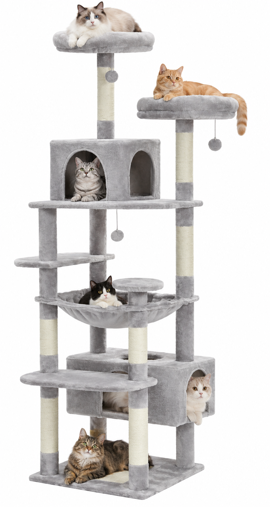 Arbre à Chat Bergen – Multi-Niveaux & Multi-Chats
