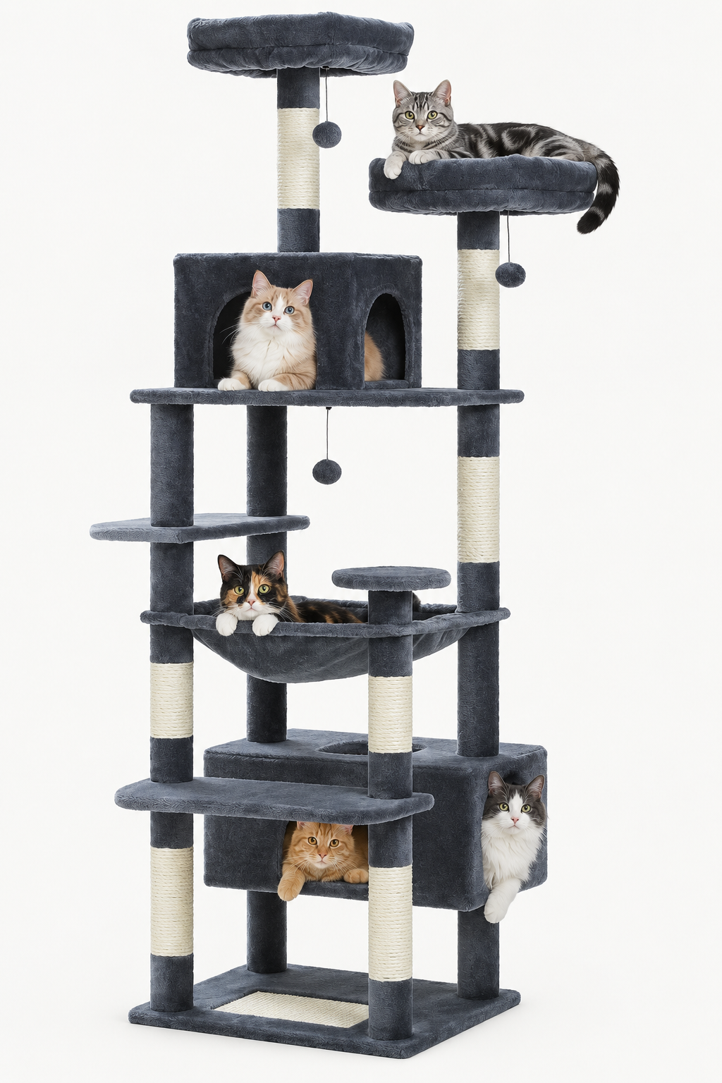 Arbre à Chat Bergen – Multi-Niveaux & Multi-Chats