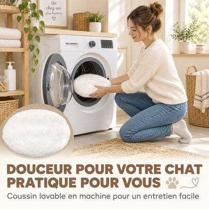 Arbre à Chat Noma M – Bois Naturel, Niche & Couchage