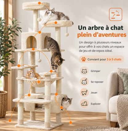 Arbre à Chat Bergen – Multi-Niveaux & Multi-Chats