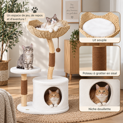Arbre à Chat Noma M – Bois Naturel, Niche & Couchage