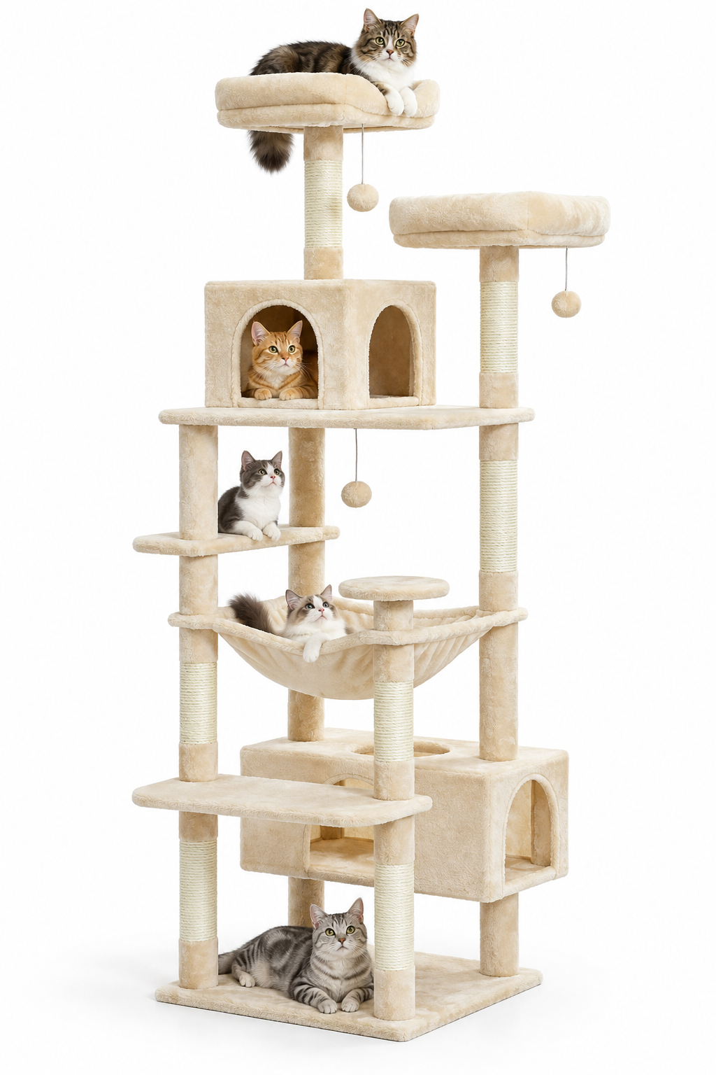 Arbre à Chat Bergen – Multi-Niveaux & Multi-Chats